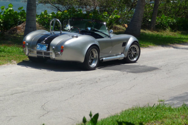 						Backdraft Racing Cobra Build 4
			